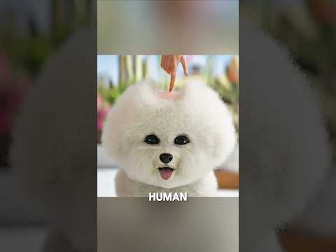 From Smart Living to Survival Mode ๐ค๐