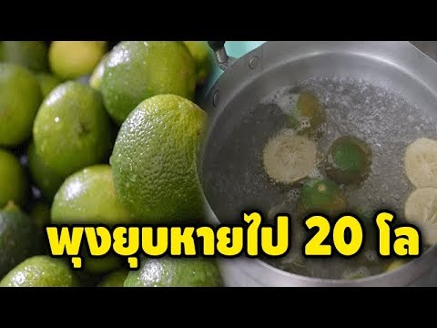 พุงยุบ น้ำหนักลด 20 กิโล ด้วยวิธีลดน้ำหนักจาก"น้ำต้มมะนาว"หน้าท้องยุบหาย อย่าลืมออกกำลังกายด้วยนะ