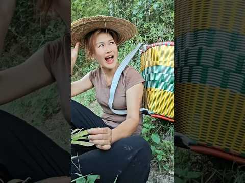 mau ketawa takut dosa masteran burung lucu bikin ngakak hiburan warga+62 short comedy funny videos