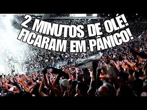 OLHA O PALMEIRAS sendo HUMILHADO 2 MINUTOS de OLÉ! FIEL TORCIDA NÃO PERDOOU e PROVOCOU o PALMEIRAS