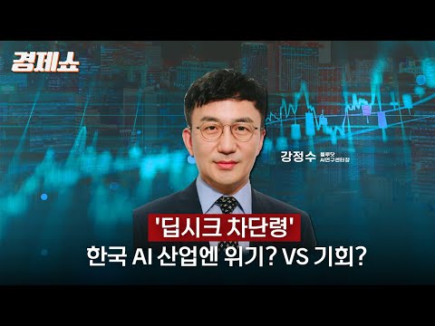 [성기영의 경제쇼] '딥시크 차단령'... 한국 AI 산업엔 위기? VS 기회? - 강정수 블루닷 AI연구센터장ㅣKBS  250210 방송