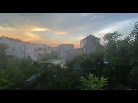 The treetops swayed in the setting sun, a few doves flew across the roof.