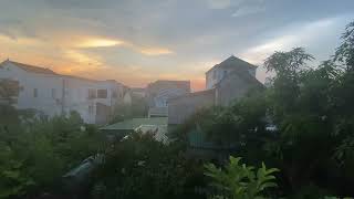 The treetops swayed in the setting sun, a few doves flew across the roof.