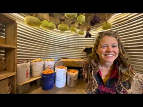 Buried 5 Years: Off Grid Root Cellar Tour and Electricity