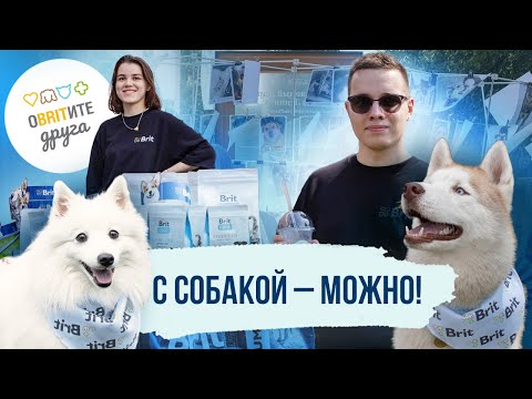 С собакой - можно!