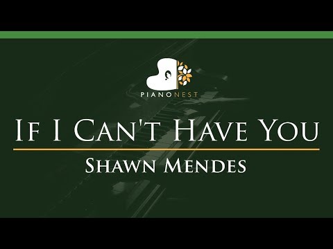 Shawn Mendes – If I Can’t Have You – LOWER Key (Piano Karaoke / Sing Along)