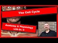 Exploring Mitosis and Meiosis: Key Concepts in Cell Division