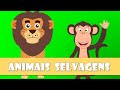 Animais Selvagens e Domésticos