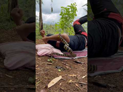 Di gigit ular saat tidur siang ๐ฅฒ #jejaksiaden #ularbesar #snake