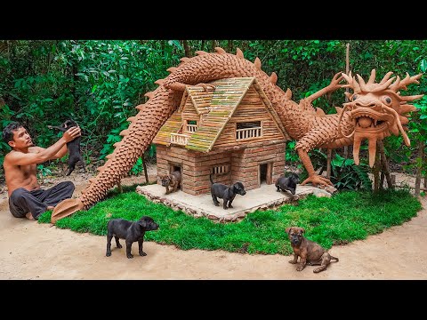 Rescue Abandoned Puppy And Build Brick House For Dog