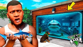 ФРАНКЛИН ҮЙІНДЕ АКУЛА АСЫРАДЫ (GTA V)