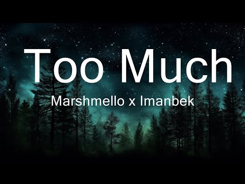 Marshmello x Imanbek - Too Much (Lyrics) ft. Usher  | Best Vibing Music