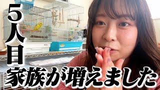 【5人目】実は家族が増えてました✨