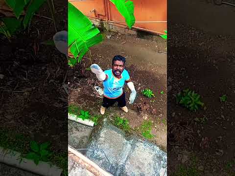 ഞാൻ പിടിച്ചു പക്ഷേ???#shorts??#subscribe
