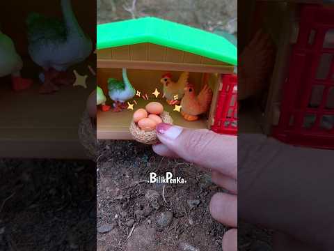 Ayam Mini Bertelur #miniatur