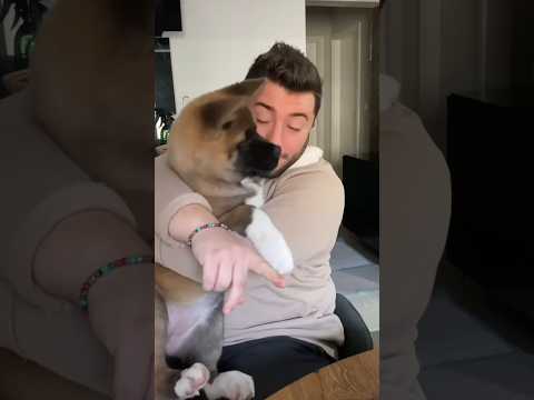 Wieso haben wir verschiedene Hautfarben ? 🥹 | JacobGrey