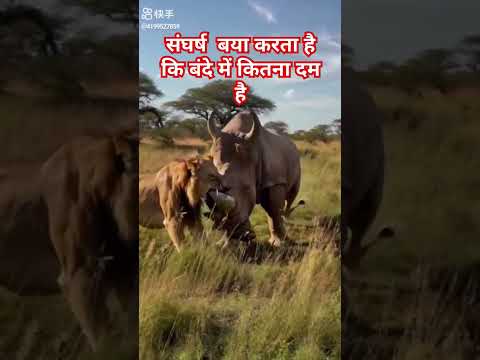 संघर्ष  बया करता है बंदे में कितना दम है #animal #motivation #sorts