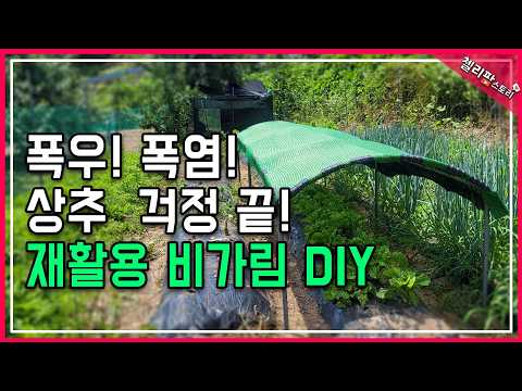찐노하우! 폭우+폭염에도 상추 살리는 '재활용 차광막' 만들기 버려진 포도밭 활대의 놀라운 변신 (장마/더위 비법)