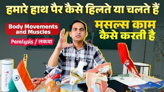 हमारे हाथ पैर कैसे हिलते या चलते हैं | Body Movements and Muscles | मसल्स काम कैसे करती है #trebding