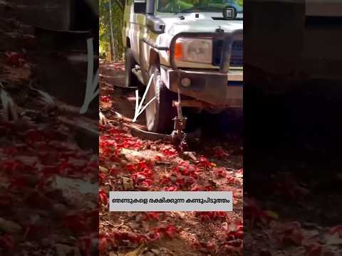 ഞണ്ടുകളെ ഉപദ്രവിക്കാതെ എങ്ങനെ വാഹനമോടിക്കാം!!
