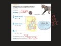 Mastering 2-Digit Multiplication Techniques