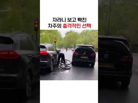 자라니 보고 화난 차주의 충격적인 행동