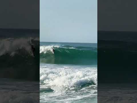 ¡El hombre delfín! Es increíble 😱 (sd_bodysurf)#shorts