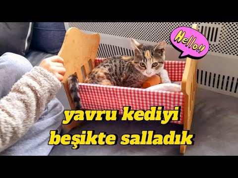 KAPIMIZA GELEN YAVRU KEDİYİ BEŞİKTE SALLADIK نواف يتحكم في لانا وماتقول لا !