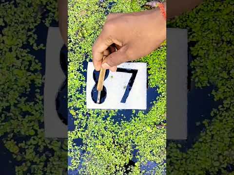 87 drawing #87 #dragonball #art #viral #youtube #howtostyle