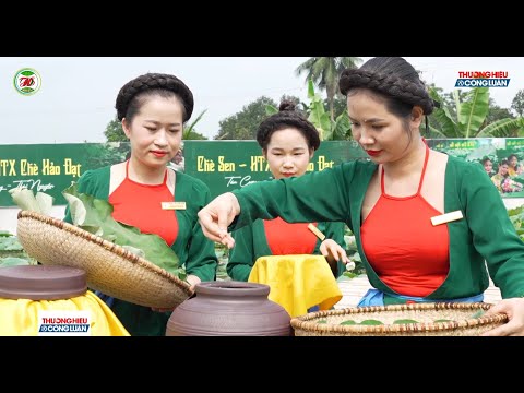 Hợp tác xã chè Hảo Đạt - Nâng tầm thương hiệu chè Việt