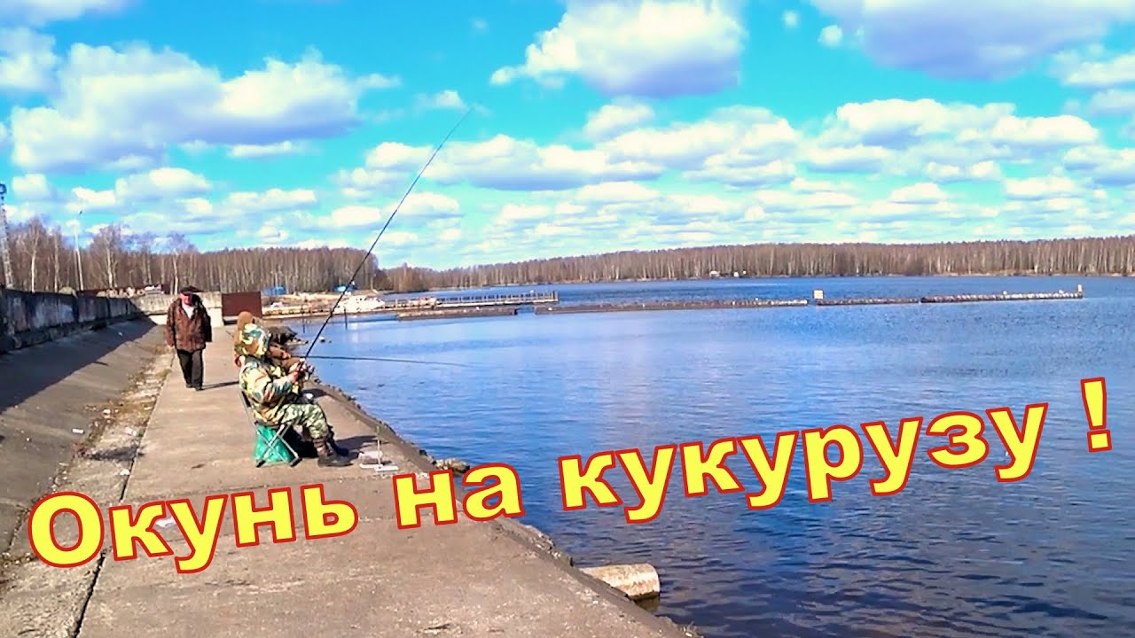 Поплавочная рыбалка в городе. Окунь на кукурузу)