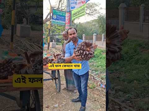 Fruits of the Sundarbans #viralvideo #entertainment #trending #trend