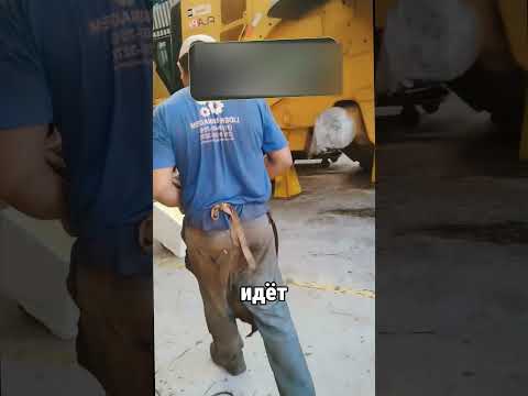 ИНДУС ПОБЕДИЛ ФИЗИКУ