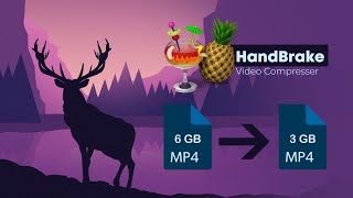 How to Compress a Video File Without Losing Quality | HandBrake Video Compresser