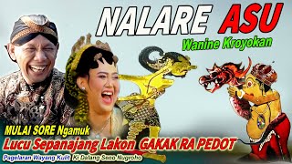 METU SORE ..!!😀BAGONG LUCU TEKAN ESUK WAYANG KULIT KI DALANG SENO NUGROHO