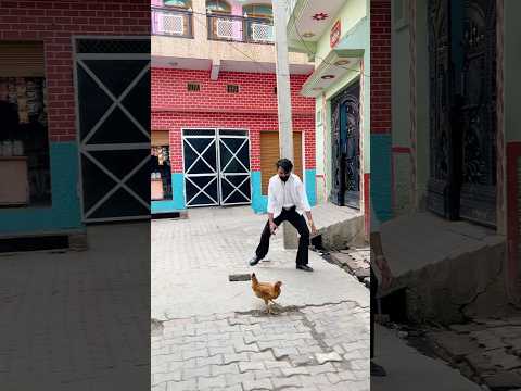 मुर्गी गायब😂#shorts