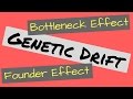 Genetic Drift and Bottleneck Effect
