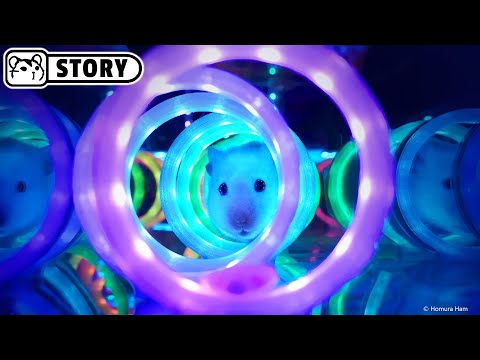 Neon Cube Hamster Maze 🐟 Aquarium and Minecraft 🐟 Homura Ham