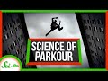 Biomechanics and Techniques in Parkour