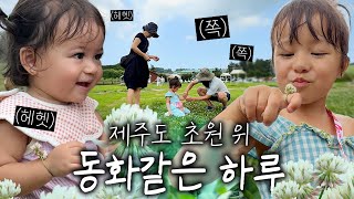 미국에서 온 손녀들, 할아버지가 만든 꽃반지에 이렇게 행복할수가…🇰🇷🇺🇸