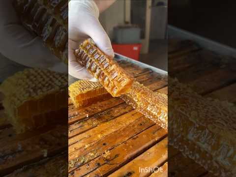 ഒറിജിനൽ തേൻ കിട്ടിയേ🍯🤤🥰🍯#shortsvideo #honey #yummy #youtubeshorts #viralvideo #delicious #shorts