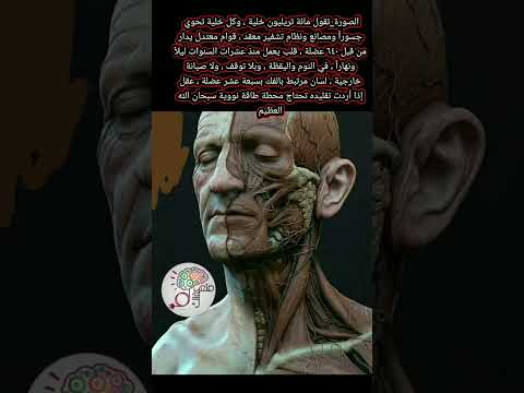 #الصورة_تقول مائة تريليون خلية ، وكل خلية تحوي جسوراً ومصانع ونظام تشفير معقد ،#الصورة #حقائق