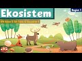 Animal Life Cycles and Ecosystems