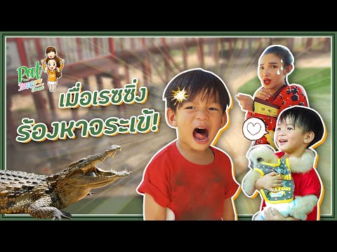 เมื่อเรสซิ่งร้องหาจรเข้ Patnapapa