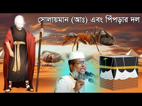 হযরত ইব্রাহীম (আঃ) এর কান্নার জিবনী । তোফাজ্জল হোসেন ভৈরবী । tofazzal hossain bhairovi |