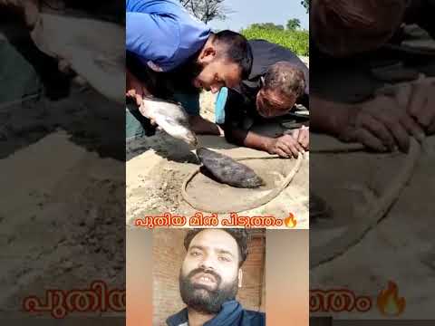 പുതിയ മീൻ പിടുത്തം #mallutraveler#fishingfreaks#shorts#mallu#malayalam#m4tech