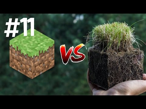 Minecraft vs Real Life 11