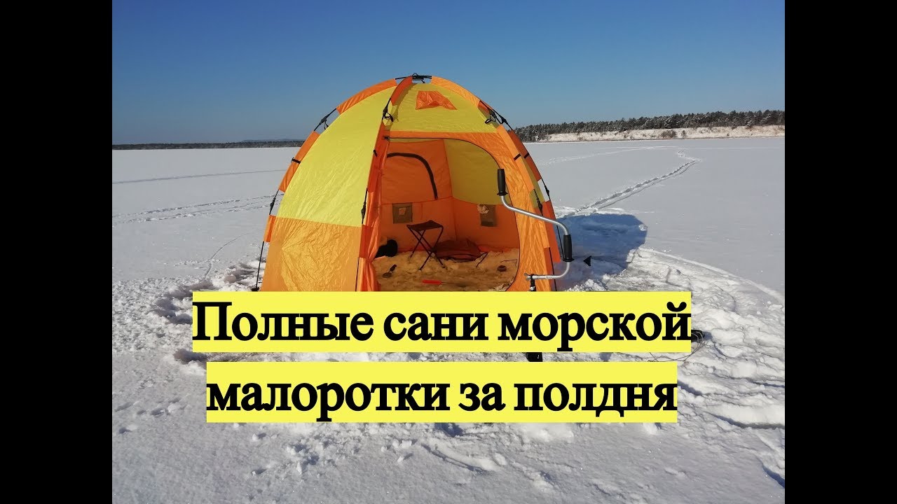 Полные сани морской малоротки за полдня