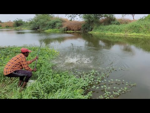New DIFFERENT LOCATIONS 🎣 Fishing Techniques by Rohu Fishes Hunting in Local River