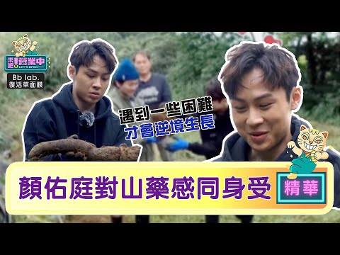 逆境山藥更好吃？ 顏佑庭笑喊：一直在講我的感覺｜BbLAB復活草面膜    @來吧！營業中 LET’S OPEN